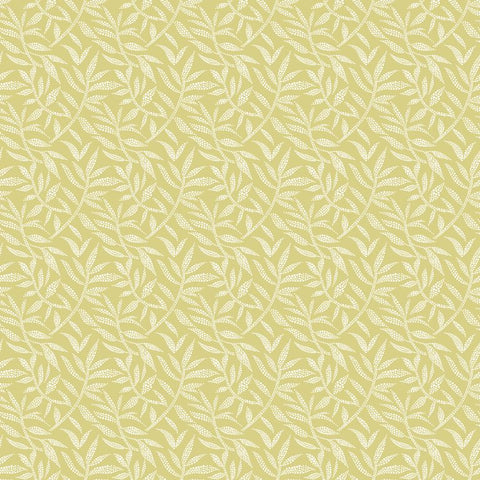 Riches of Nature Dotty Leaf Fern wallpaper by Ohpopsi, a green leaf design