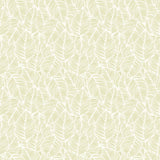 Purity Zebra Leaf Soft Lime wallpaper by Hoopla Walls, a green leaf design