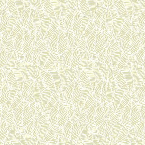 Purity Zebra Leaf Soft Lime wallpaper by Hoopla Walls, a green leaf design