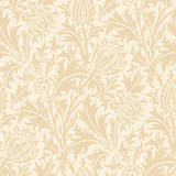 Eden Vol 2 Thistle Damask Soft Gold wallpaper by Hoopla Walls, a gold damask design