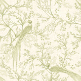 Purity Bird Toile Sage wallpaper by Hoopla Walls, a green toile design