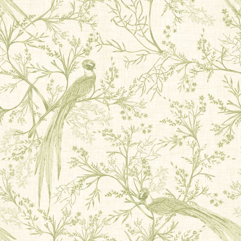 Purity Bird Toile Sage wallpaper by Hoopla Walls, a green toile design