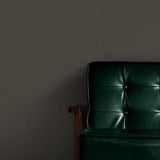 Room painted in Rainforest Mahogany deep brown eco paint