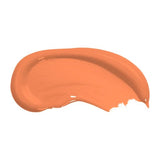 Swatch of Spiced Marmalade bright orange eco paint