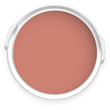 Tin of Terrapotta terracotta pink eco paint