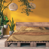Room painted in The Colonel mustard yellow eco paint