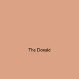 The Donald pale terracotta eco paint colour tile