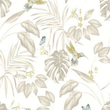 OHPOPSI Laid Bare Wallpaper Hummingbird Colourway Pearl Tile Image