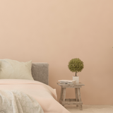 Room painted in 1969 pale pink eco paint