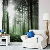 Wall Mural | Sun Rays (lounge)