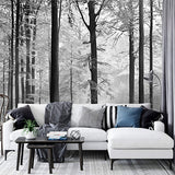 Wall Mural | Avalon 5401