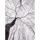 Wall Mural | Inside the Trees (portrait rectangle)