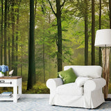 Wall Mural Autumn Forest 5419 Wall Panel