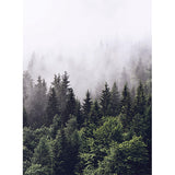 Wall Mural | Forest Mist