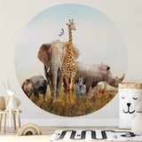 Wall Mural | African elephant (circular - play room)