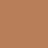 American Tan No. 79 Brown Eco Paint Colour Tile