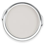 Aragonite | Grey Paint