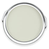 Killifish Pale Green Eco Paint