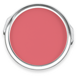 Leaping Salmon No. 117 Coral Pink eco paint tin image