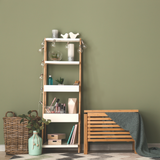 Novara Green Olive Green Eco Paint Room shot