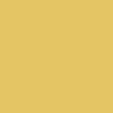 Sunstar No. 42 Bright Yellow Eco Paint