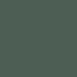 Katniss No. 76 Dark Green Eco Paint