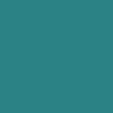 Dabbling Duck No. 68 | Eco Paint | Teal