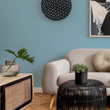 Living room painted in Blue Steele mid blue eco paint