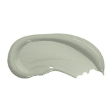 Swatch of Cloud Tree pale green eco paint