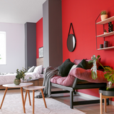 Room painted in Dorothy's Slippers red eco paint