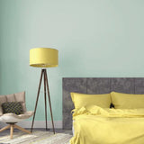 Room painted in Duck Egg Blue soft blue eco paint