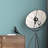 Room painted in Eucalyptus blue green eco paint