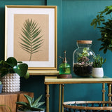 Room painted in Hummingbird teal eco paint