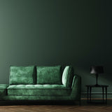 Room painted in Katniss dark green eco paint