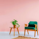 Room painted in Paeony pink eco paint