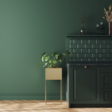 Room painted in Pepper Tree dark green eco paint