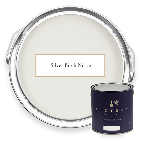 Silver grey paint deals