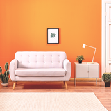 Room painted in Spiced Marmalade bright orange eco paint